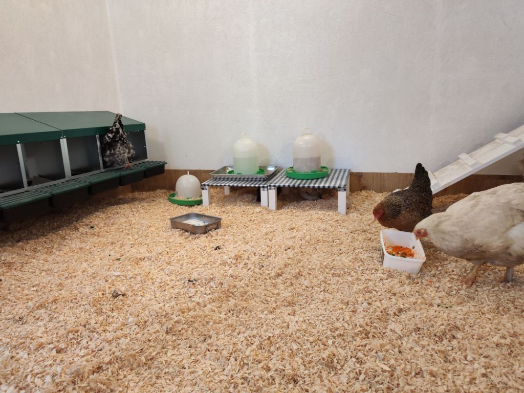 img_20260130_1301134534742576093583634