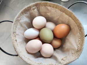 img_20260216_1248112426769759798551929