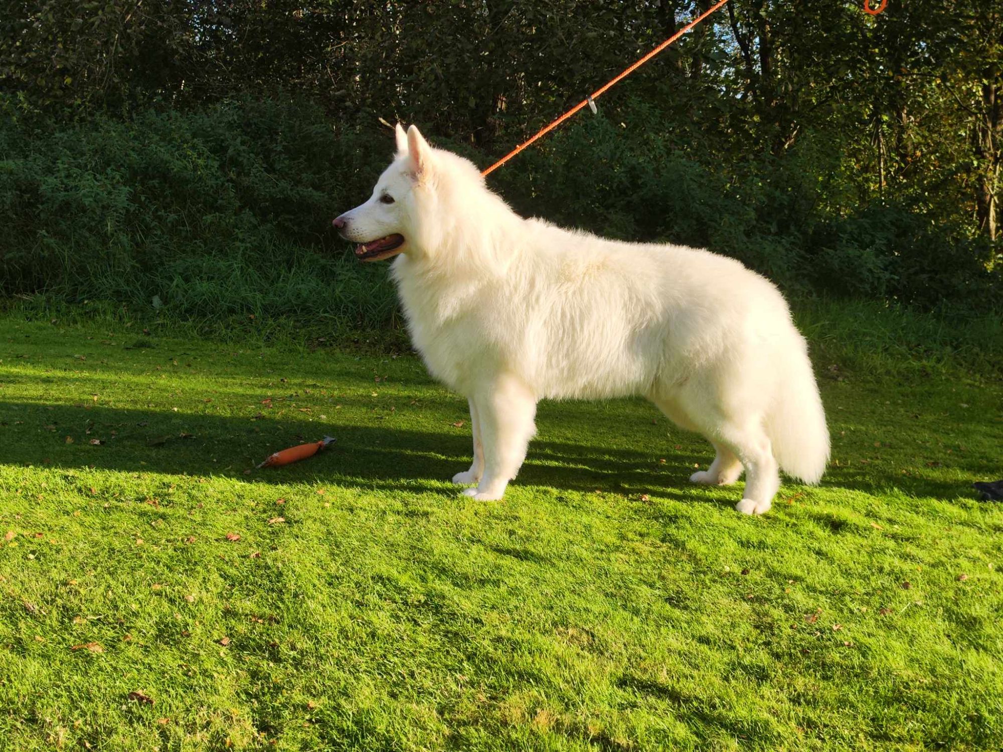 messenger_creation_58fcb3ec-1612-42f8-b4e8-4a89f756ac2b7894237303071999216