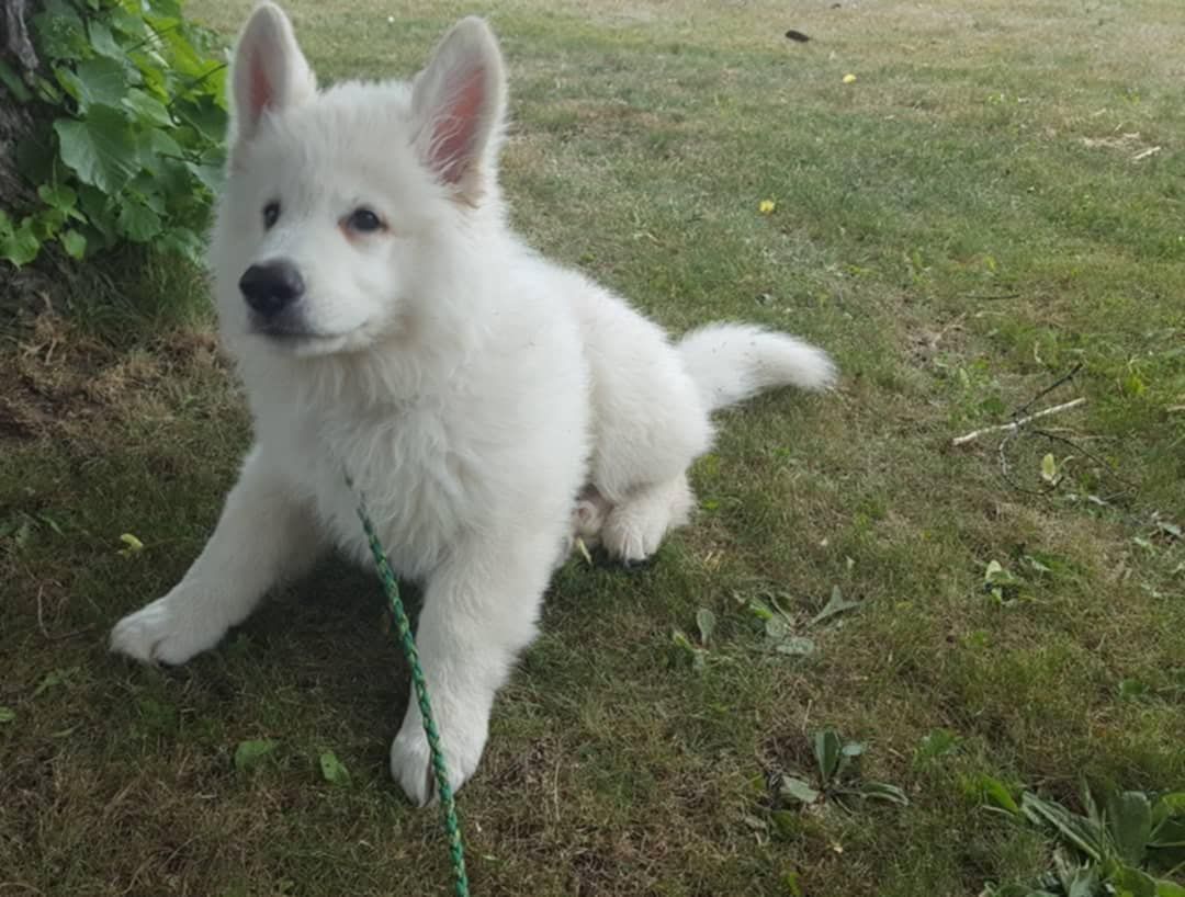 messenger_creation_648e3447-1ced-417f-854f-649e170dad0f5244765266228266510