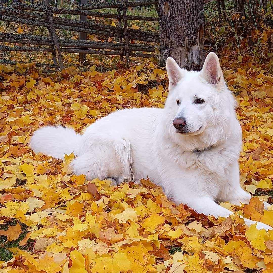 messenger_creation_6ee20327-675f-4402-a601-e41f97caf0816689158782353207052