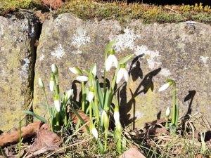 img_20260304_1208498287852186366387123