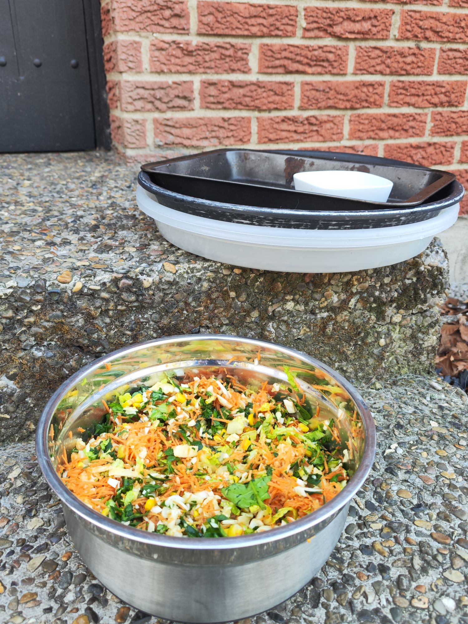 img_20260309_1522073253300275239334584