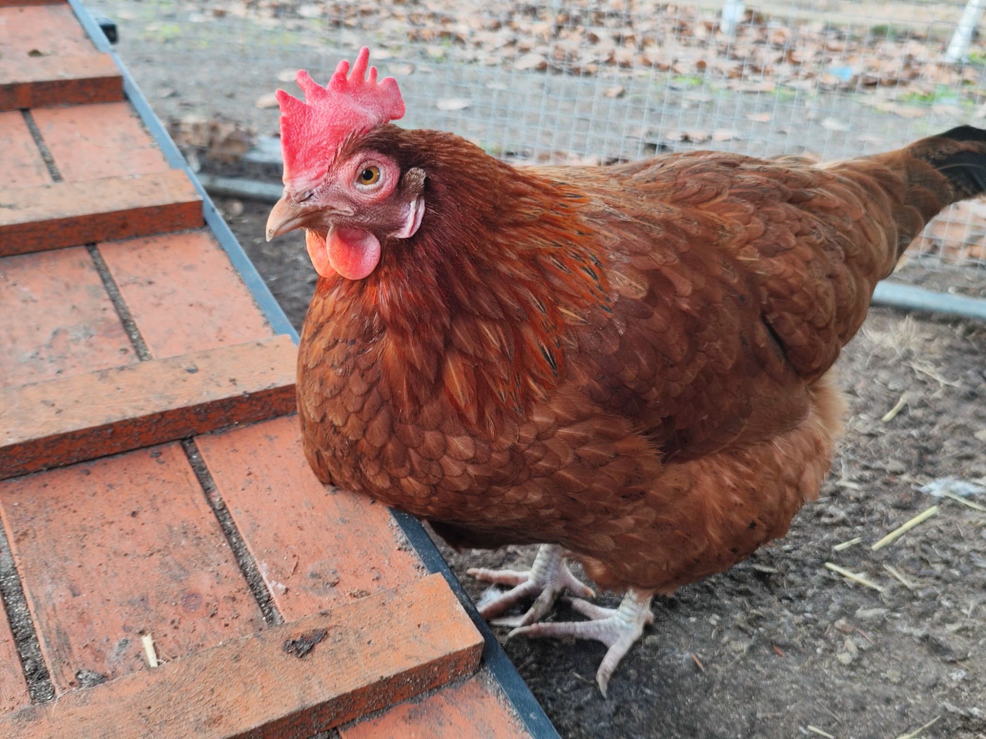 img_20260309_1550494092410973136432106