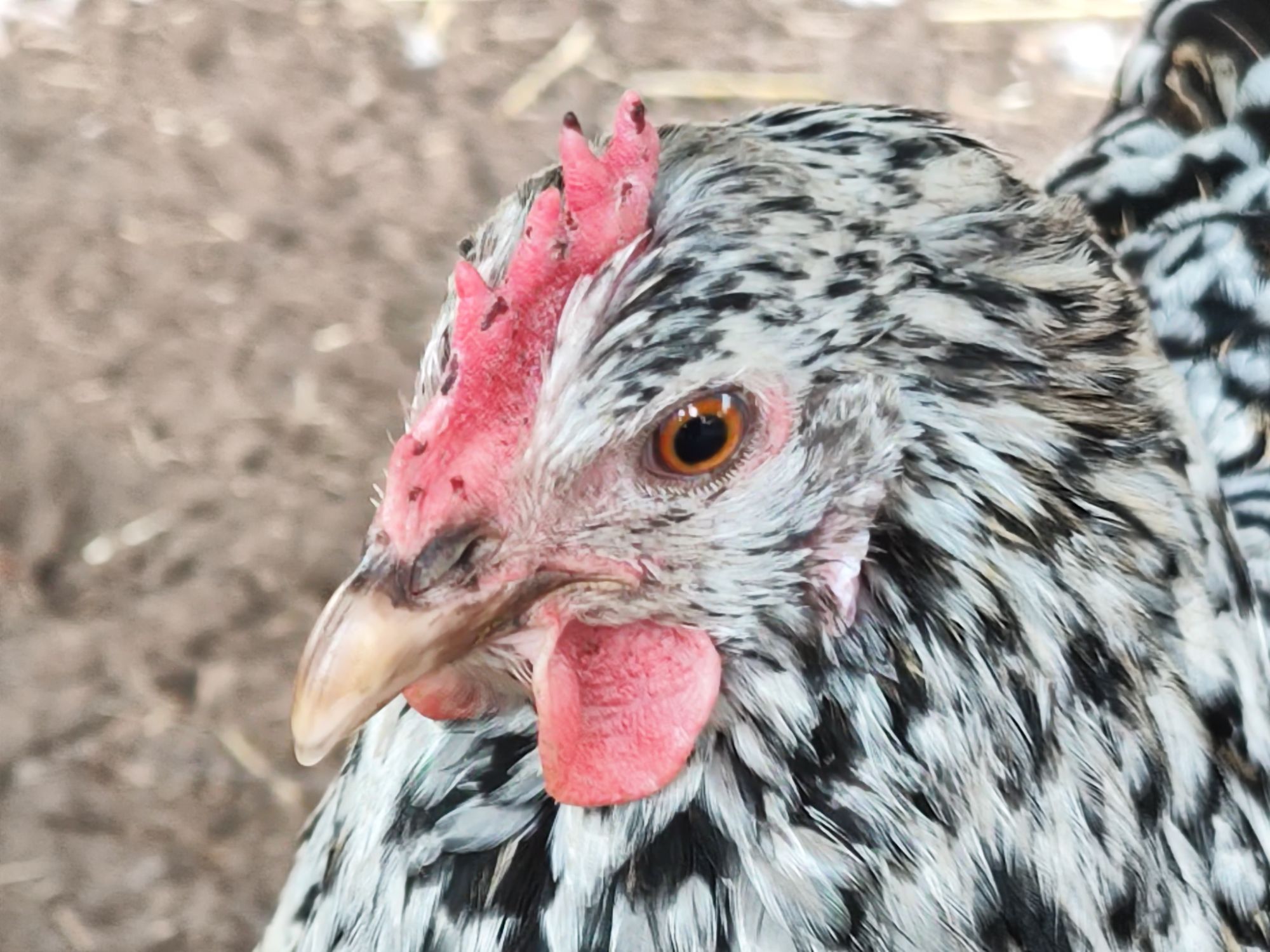 img_20260309_1551533928298765899964859