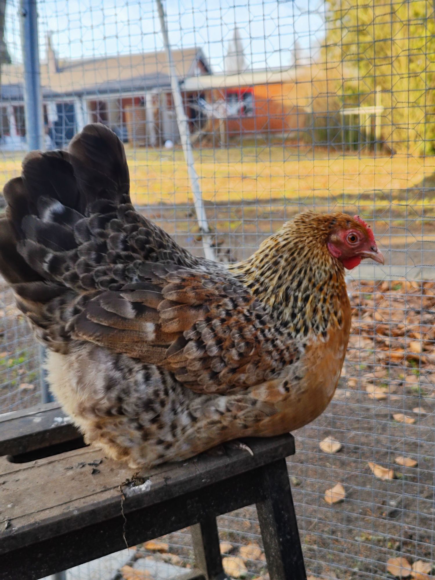 img_20260309_1554328506414297306294854