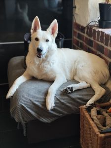 img_20260312_1114555580746944333556220