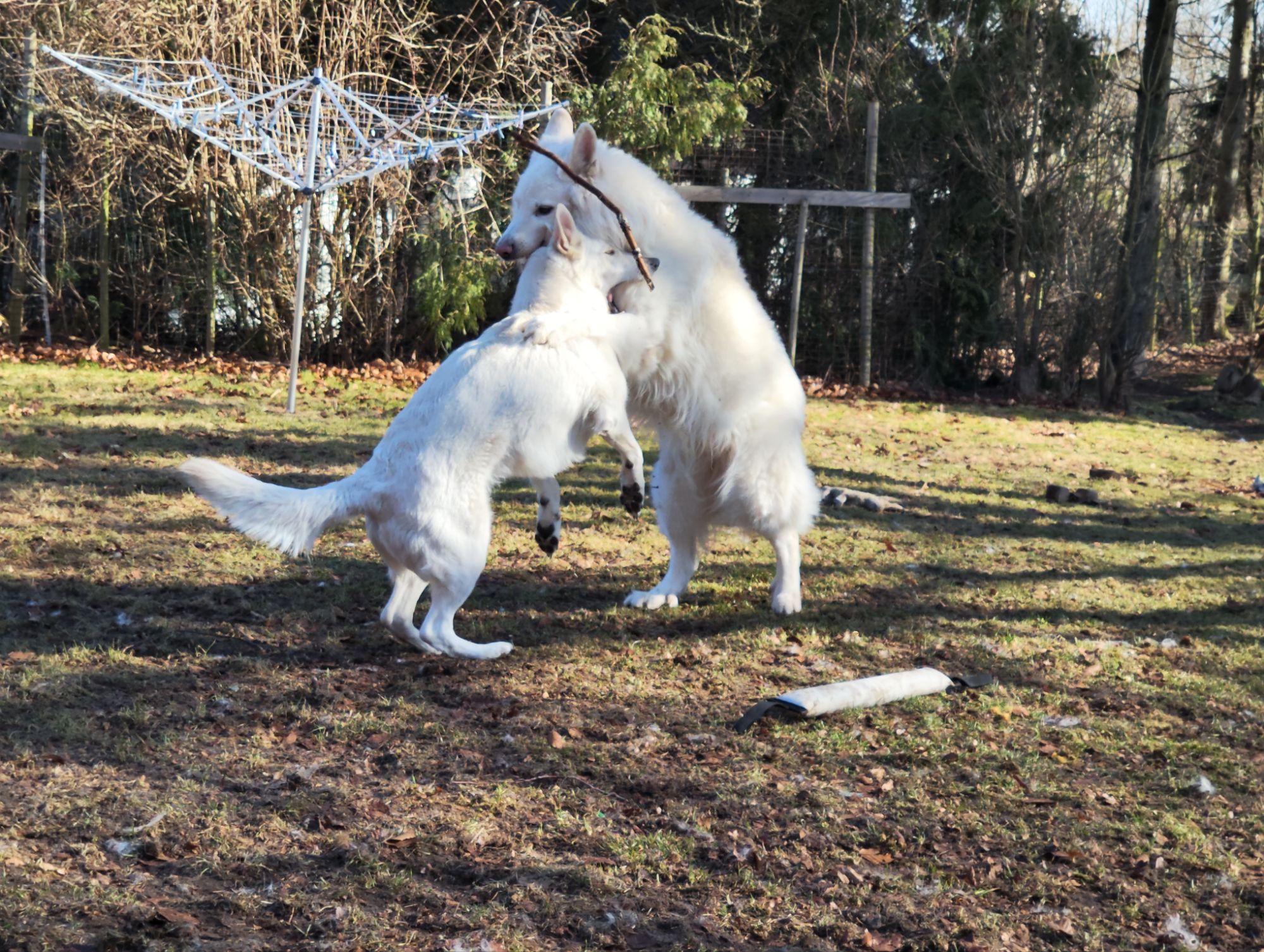 img_20260318_1020458108190417579467046