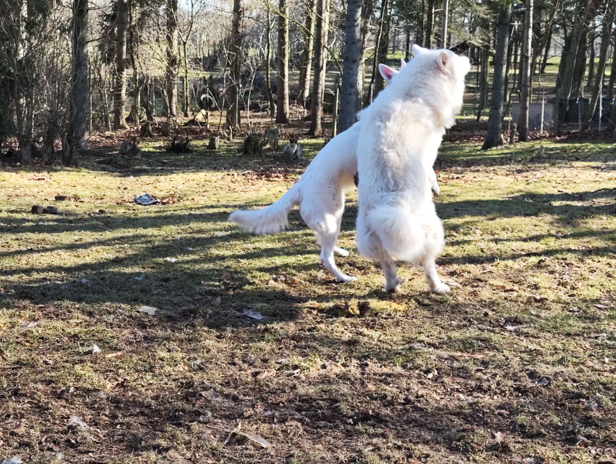 img_20260318_1021126379008602641294005