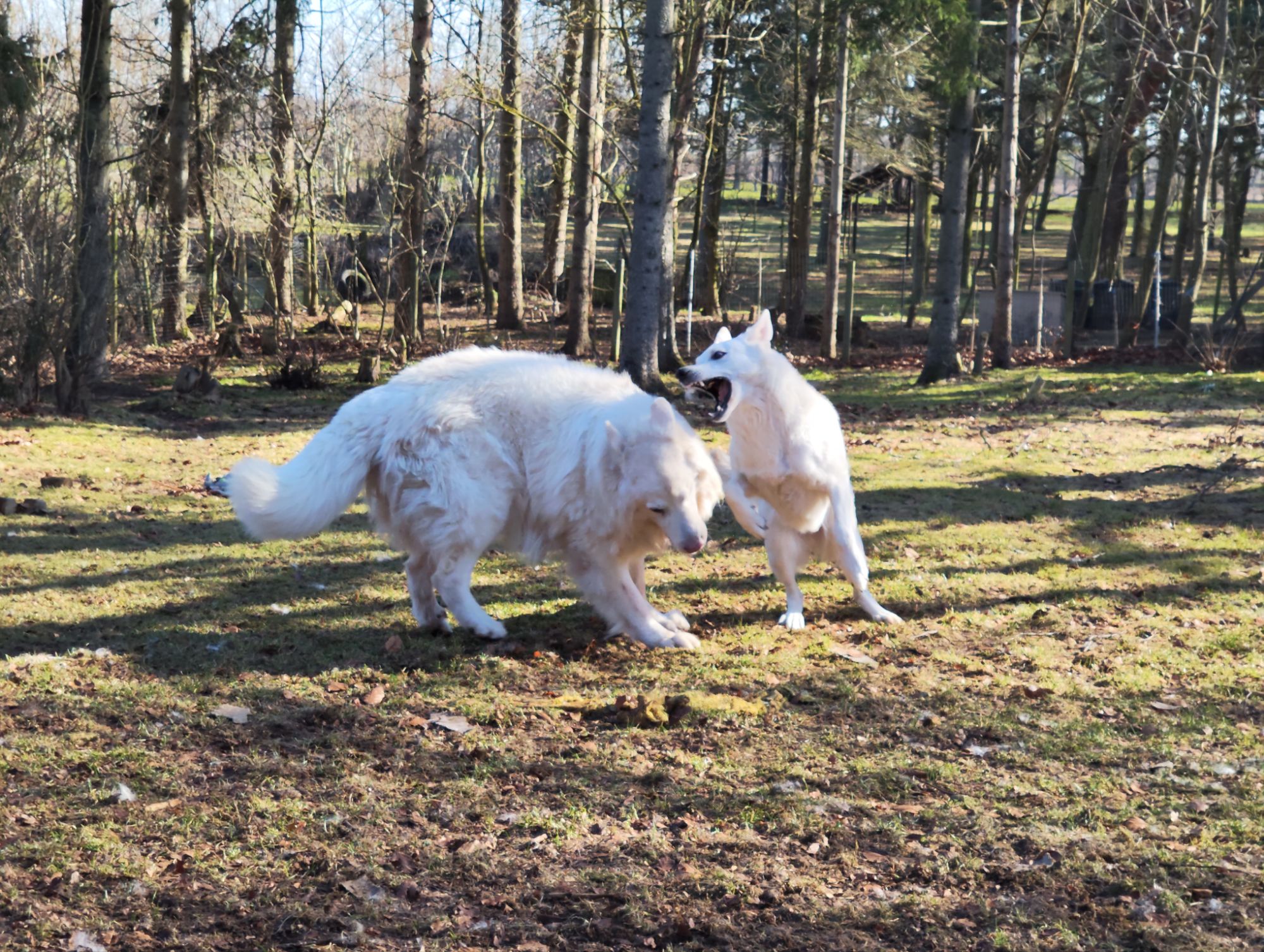 img_20260318_1021138127897281195511538