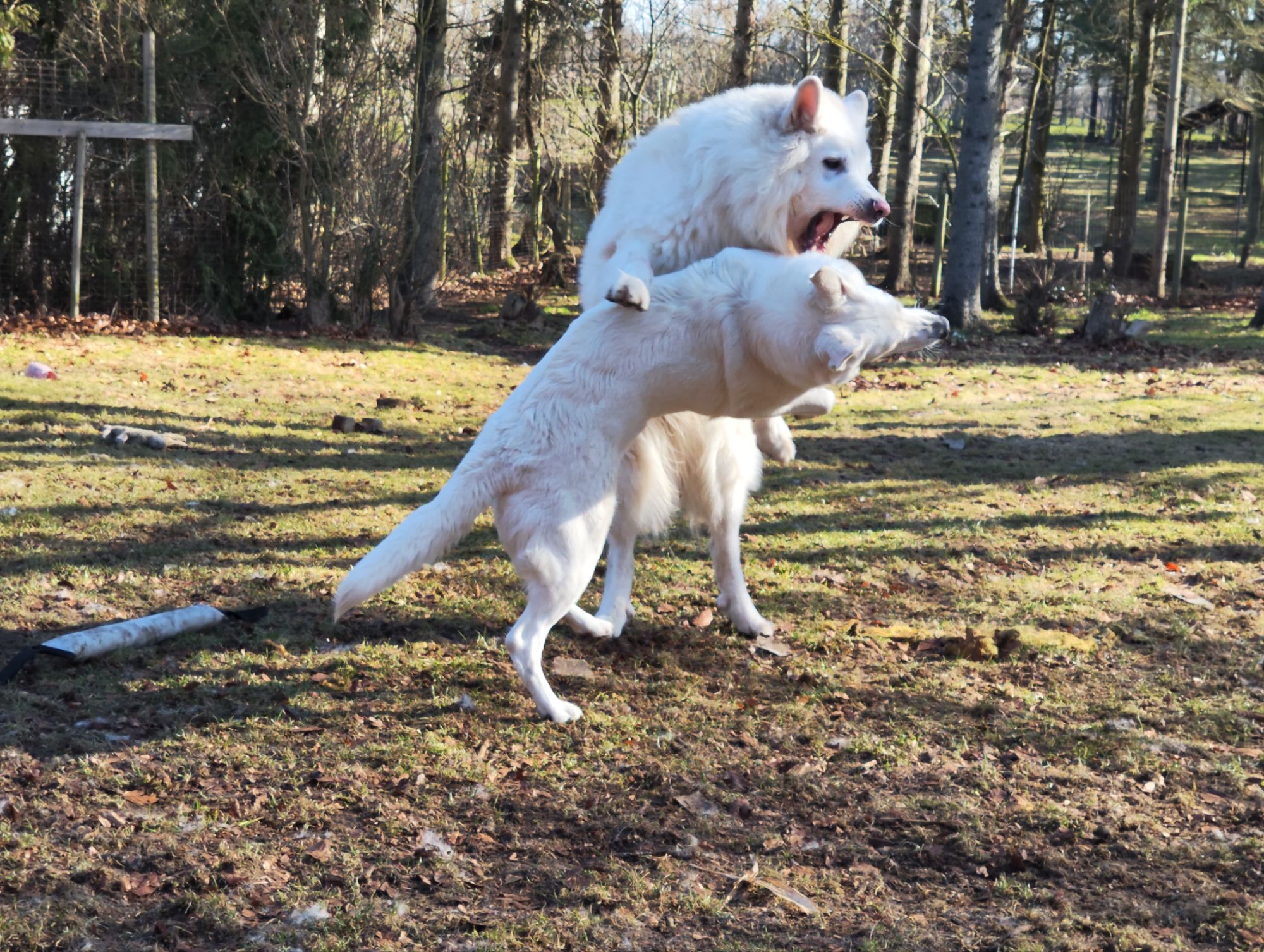 img_20260318_1021217836814405875405635