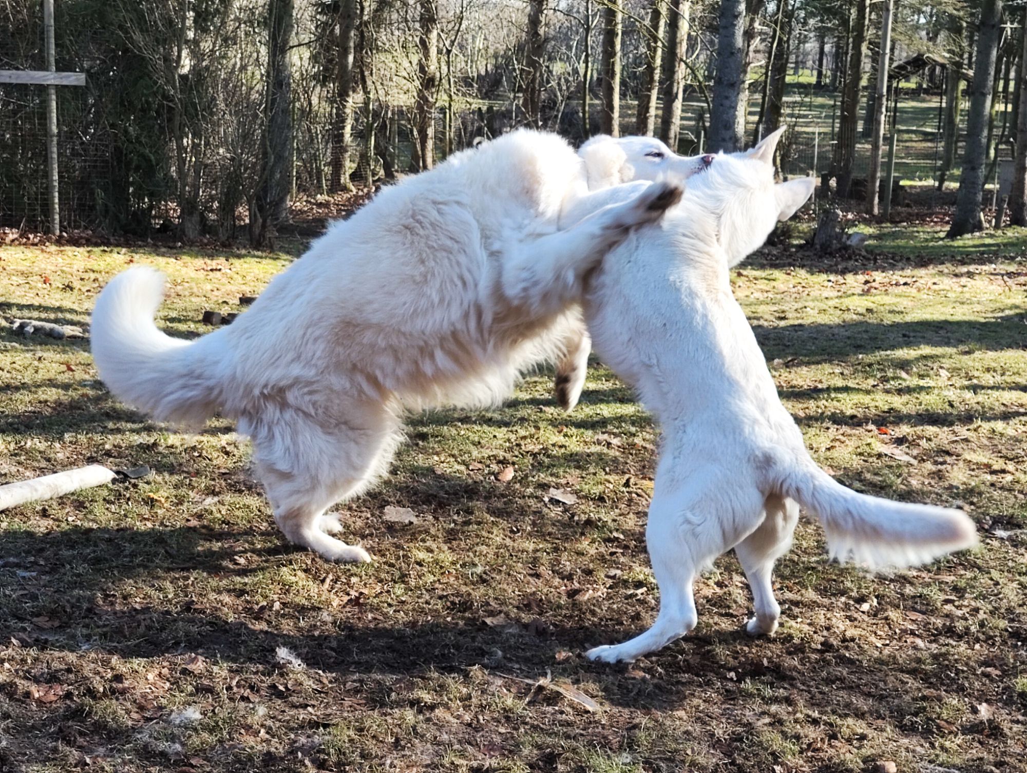 img_20260318_1021244839264732283135443