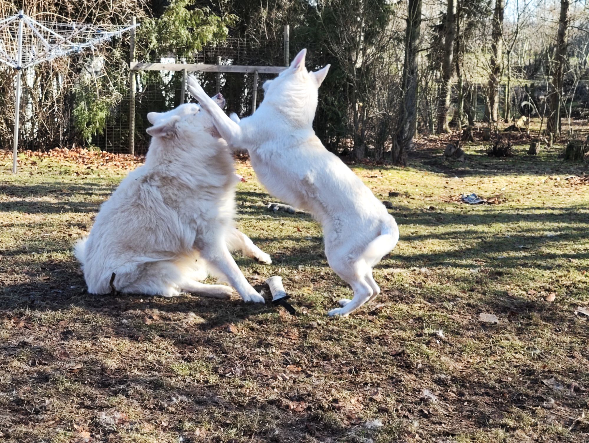 img_20260318_1021328955151212095158018