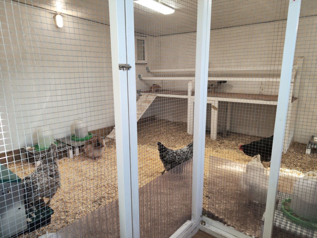 img_20260320_1638231631914163105765895