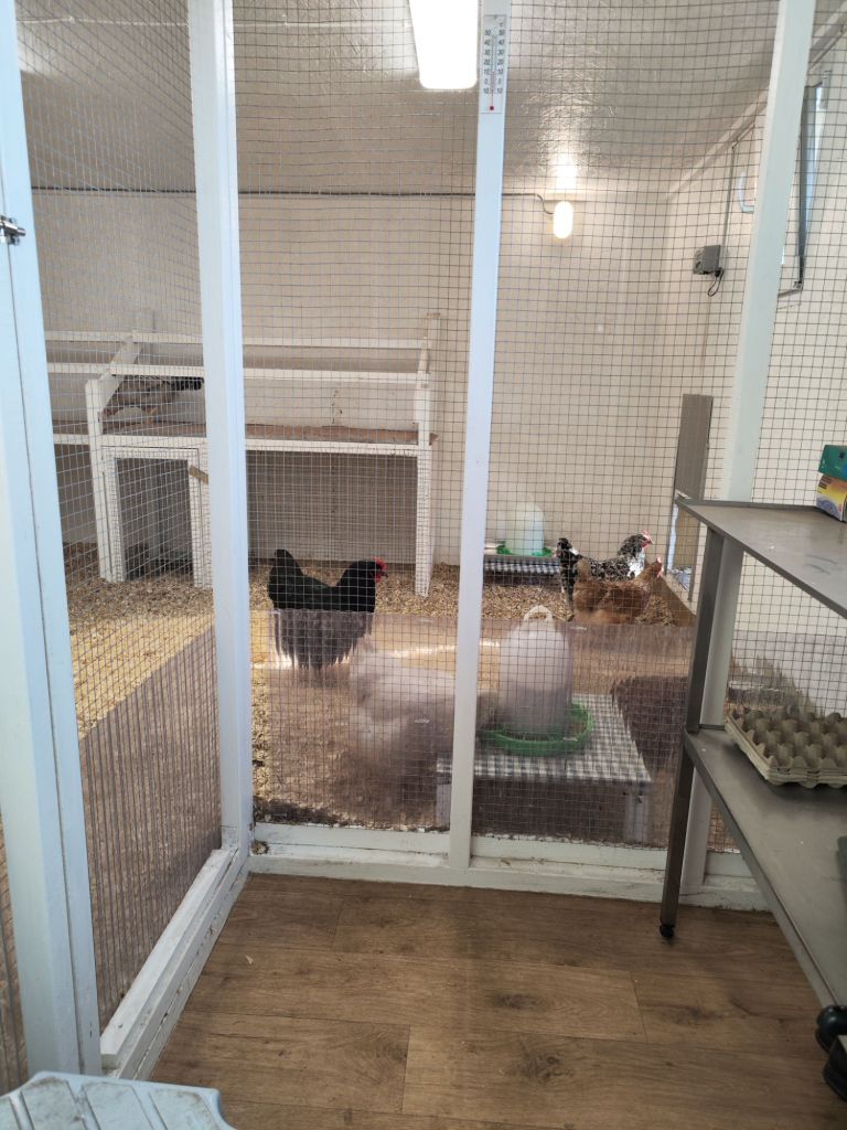 img_20260320_1638332946025209031072706