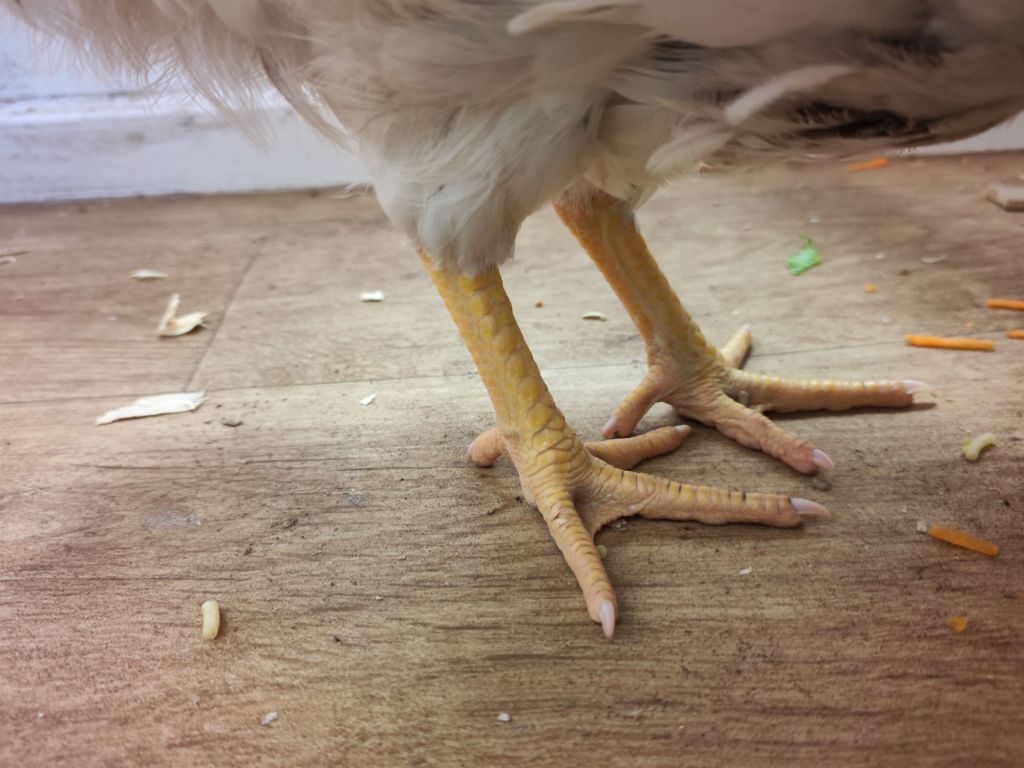 img_20260320_1724022113508749400280421