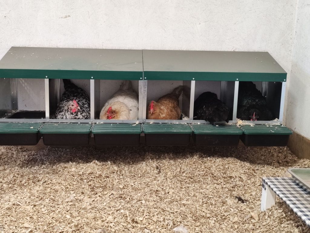 img_20260411_1026066459241306617544828